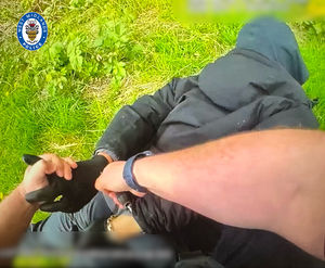 The driver of the Land Rover was arrested. 