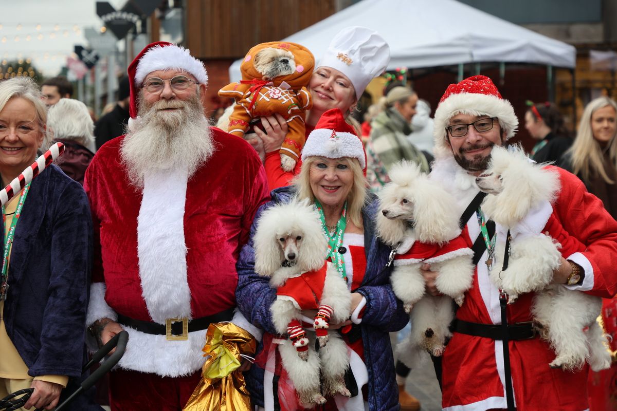 Creative costumes and wagging tails - watch as hundreds of dogs dress up for festive West Midlands Christmas parade Creative costumes and wagging tails - watch as hundreds of dogs dress up for festive West Midlands Christmas parade