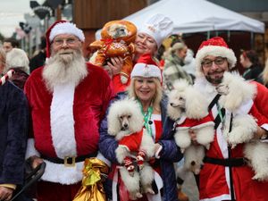 Supporting image for story: Creative costumes and wagging tails - watch as hundreds of dogs dress up for festive West Midlands Christmas parade