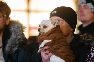 Shrewsbury's Christmas light switch-on