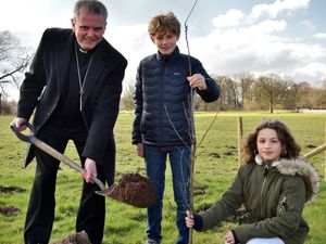 Supporting image for story: Tree planting continues on country estate