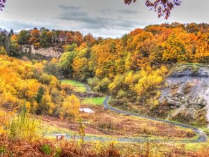 Supporting image for story: Saltwells in Dudley officially recognised as National Nature Reserve