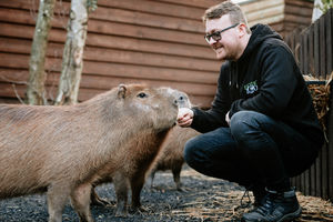 Ryan Jordan with the Exotic Zoo's new capybaras