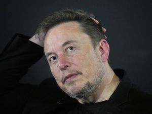 Supporting image for story: Elon Musk told to ‘mind his own business’ by minister after UK comments