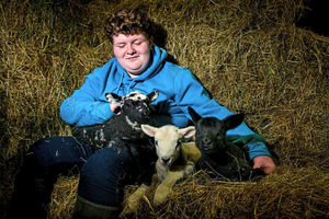 Supporting image for story: Triple trouble for Shropshire farm as they welcome three new lambs