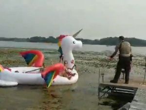 Supporting image for story: Watch the bizarre moment police saved a rainbow unicorn filled with women