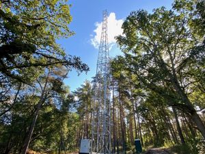 Supporting image for story: Bid to improve Shropshire Hills mobile coverage with 83ft phone mast sparks objections from Long Mynd watchdogs