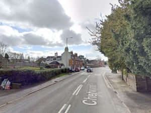 Supporting image for story: Road in Newport to close for tree-felling work 