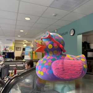 21 ducks are waiting to be discovered in Walsall. 