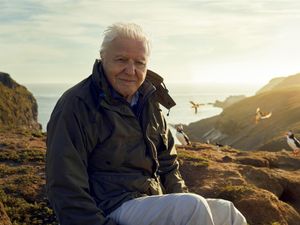 Supporting image for story: Sir David Attenborough series centred around British Isles to launch on BBC
