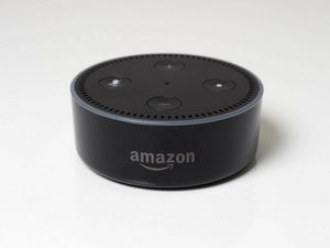 Supporting image for story: Alexa loses out to Siri and Google Assistant in IQ test