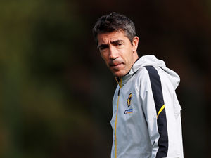 Supporting image for story: Steve Bull: The Wolves job is a great opportunity for any manager