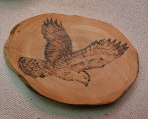 Work by Cindy Harrison. Pictures: David Hamilton 