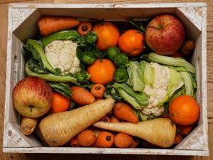 Supporting image for story: Vegan diet could be linked to reduction in biological age, study suggests