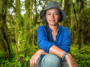 Supporting image for story: Peter Rhodes on the death of a turtle, the case for a new political party and a tea towel in very poor taste