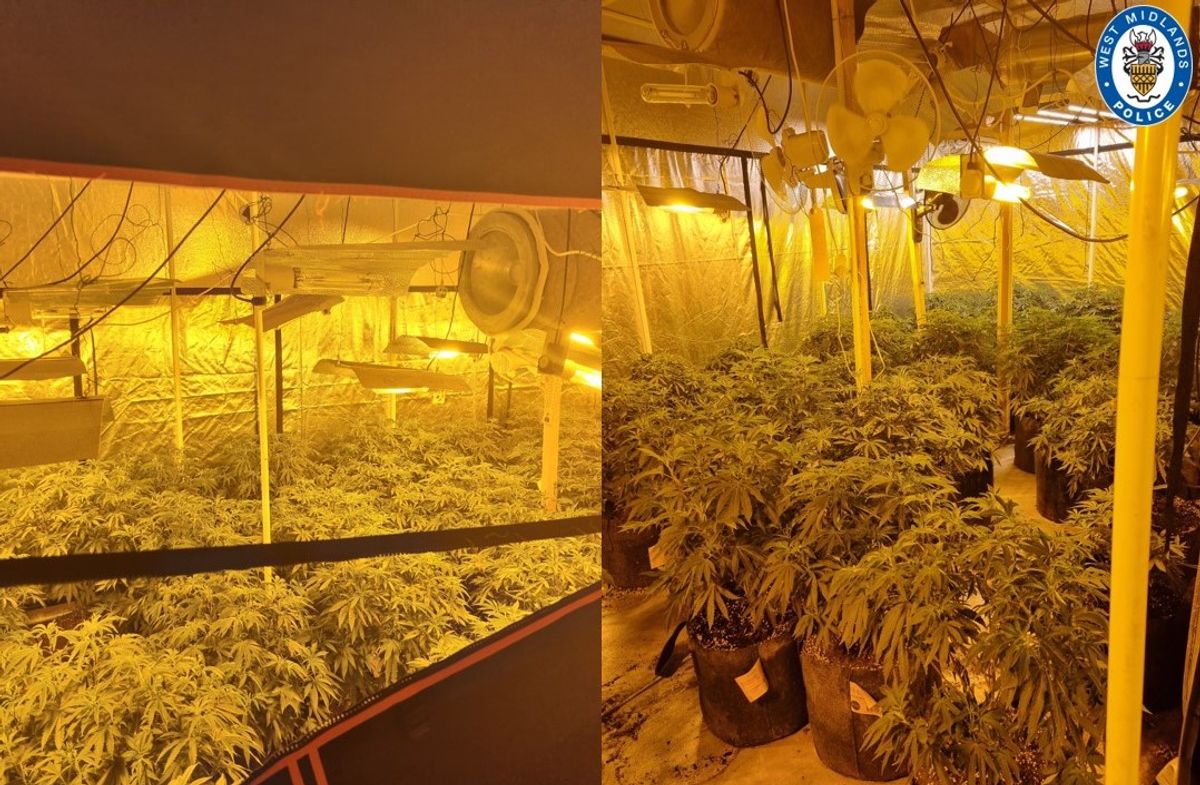 &pound;300k cannabis factory discovered in Birmingham city centre