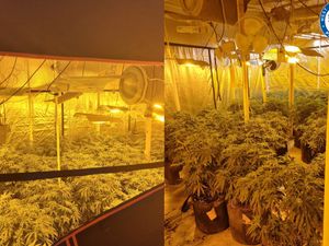Supporting image for story: £300k cannabis factory discovered in Birmingham city centre