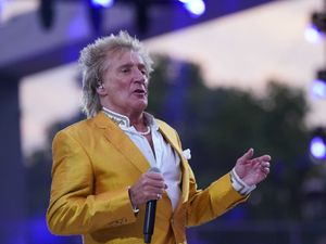 Supporting image for story: Sir Rod Stewart pays tribute to late brother