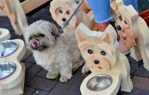 Toby the dog and on Keith's Woods stall