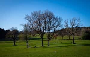 Cofton Park in Birmingham
