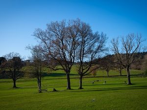 Supporting image for story: Midlands MP demands action from council over unauthorised encampments at a West Midlands beauty spot