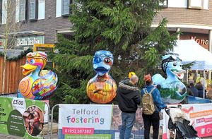 The ducks back in Southwater