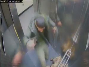 Supporting image for story: Jailed: Oldbury man kicked and stamped on pet dog in lift  