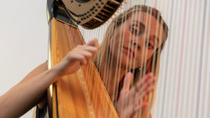 Supporting image for story: Presteigne Festival will be holding a Springboard Weekend again this year.