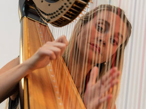 Supporting image for story: Presteigne Festival will be holding a Springboard Weekend again this year.