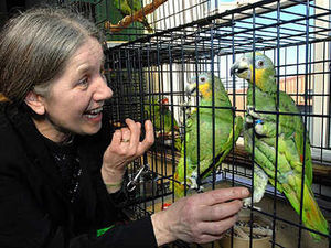Supporting image for story: Show hails our feathered friends