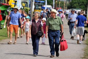 Supporting image for story