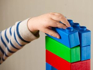 Supporting image for story: Shropshire Council moves to reassure nursery owners