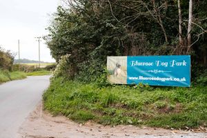  Bluerose Dog Park, where the fire happened.