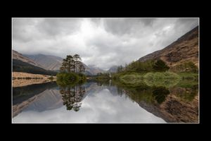 Rhododendron Reflection by Peter Humphrys