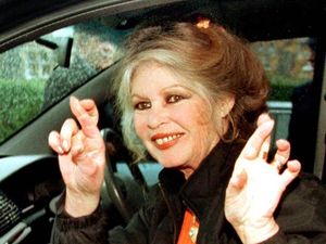 Supporting image for story