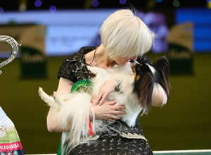 Dylan, a Papillon from Belgium, with owner Kathleen Roosens after winning the best in show during the final day of the Crufts Dog Show 2019 at the NEC in Birmingham. Photo credit should read: Aaron Chown/PA Wire            