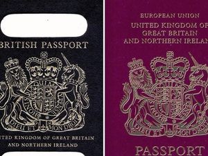 Supporting image for story: Express & Star comment: Passport decision is spot on