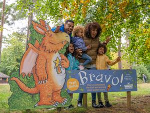 Supporting image for story: Zog the Dragon trail coming to Shropshire beauty spot