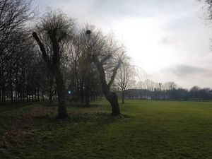 Supporting image for story:  Man given first aid at Telford playing field