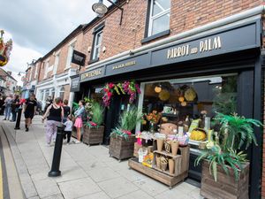 Supporting image for story: High Street page offers a new shop window for businesses in Telford