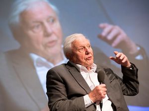 Supporting image for story: ‘Holographic’ Sir David Attenborough to form part of trial showing powers of 5G