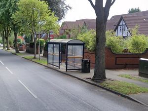 Supporting image for story: Man treated for leg and chest pain after car crashes into tree in Wolverhampton