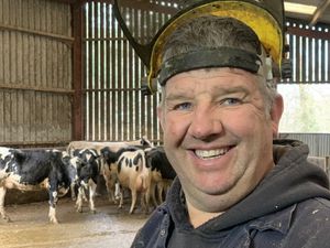 Supporting image for story: Shropshire Farming Talk: The economic cost of lame cattle – preventing loss in your herd