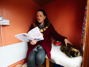 Supporting image for story: Reading to cats proves 'purrfect' way to build confidence, says Shropshire charity