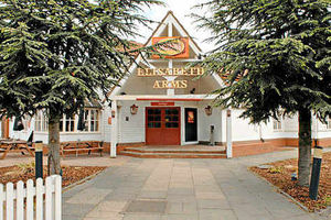 Supporting image for story: The Elisabeth Arms, Bilston