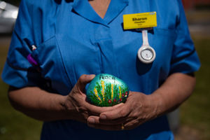 One of the stones outside the emergency department