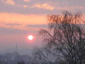 Supporting image for story: Readers snap more gems