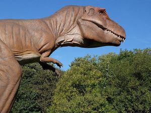 Supporting image for story: T-rex’s tiny arms were actually ‘vicious slashing’ weapons, suggests expert