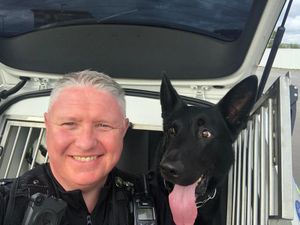 Supporting image for story: Retired West Midlands Police dog dies at age 10 - the same week his handler announced retirement after 36 years