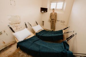 A male Victorian cell